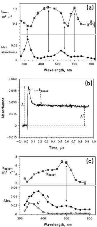 Fig. 5c suggests that in addition to 4BPO − which is relatively long-lived, two transient species with shorter and similar  life-times occur in the system