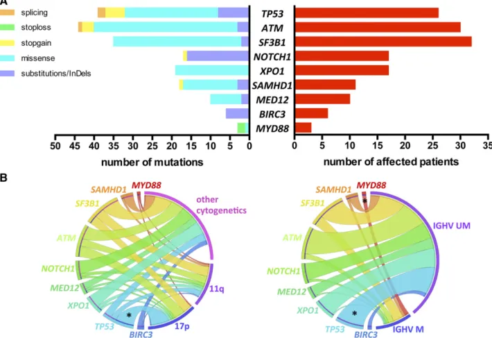 Figure 1. Incidence of gene mutations and correlation with genomic features. (A) Number and type of mutation (left) and number of affected patients (right) of each sequenced gene