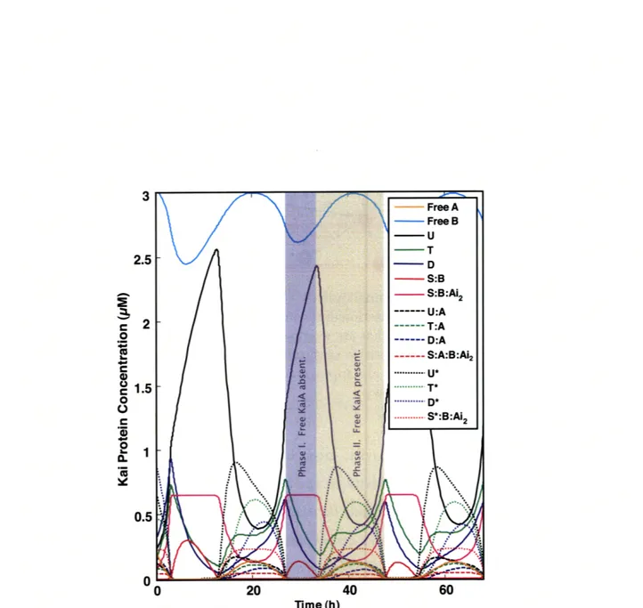 Figure  5-3:  Time  Course  Trajectories  of  Species  Concentrations.  Here  we plot  the  trajectories  of  the  species  (state  variables)  that  occur  at  appreciable   con-centrations