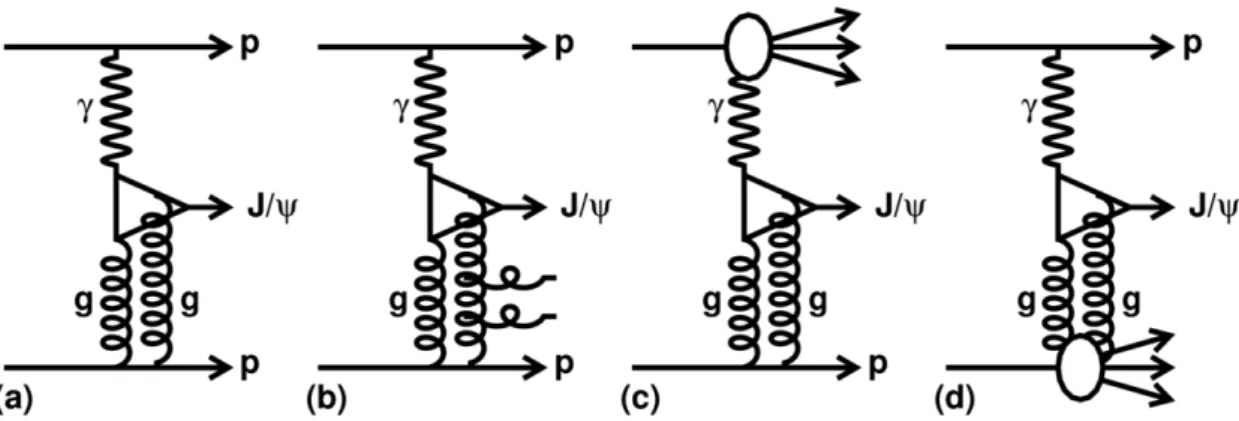 Figure 1: Feynman diagrams of diffractive-production mechanisms of J/ψ mesons at the LHC, where the double gluon system being emitted from the beam proton constitutes the pomeron.