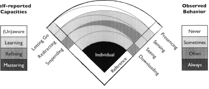 Figure 2  Example  visualization  for an individual