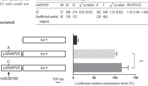 Figure 2. In vitro analysis of rs6039769 in N2a cells. Quantification of the SNAP25 expression level was estimated using a luciferase reporter gene under control of the human SNAP25 promoter region containing either the C or the A allele of rs6039769.