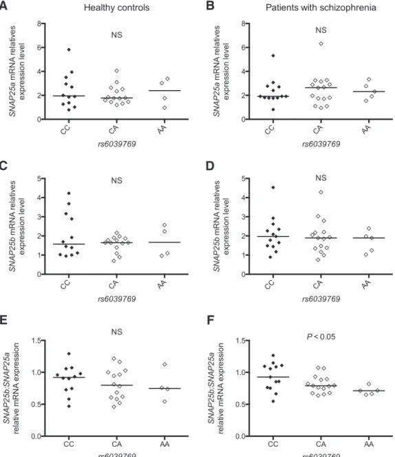 Figure 3. A–F, SNAP25a andSNAP25b mRNA relative expression level in postmortem prefrontal cortex of patients with schizophrenia (B, D, F ) and healthy control subjects (A, C, E) according to rs6039769 genotype