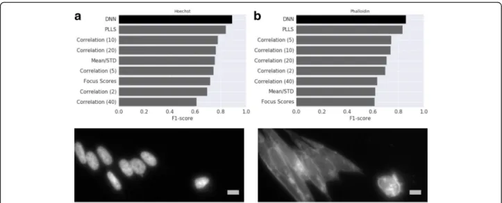Fig. 3 Accuracy, measured with F-score, on the binary in/out-of-focus classification task compared with various methods in Bray et al