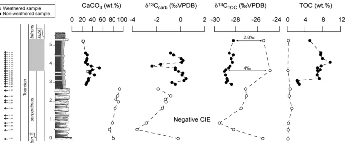 Figure 5. Geochemical data for the Toarcian succession from the Lafarge quarry site. Abbreviations: CIE – carbon isotope excursion;