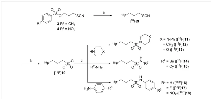 Table 2: Reaction of [ 18 F]10 with various aliphatic and aromatic amines (n ≥ 2). RCYs were determined by radio-TLC and refer to the fraction of the product related to the total  18 F-activity.
