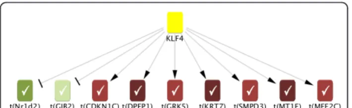 Figure 2 illustrates the scoring for one particular hypothesis, KLF4+ (i.e., upregulation of KLF4)