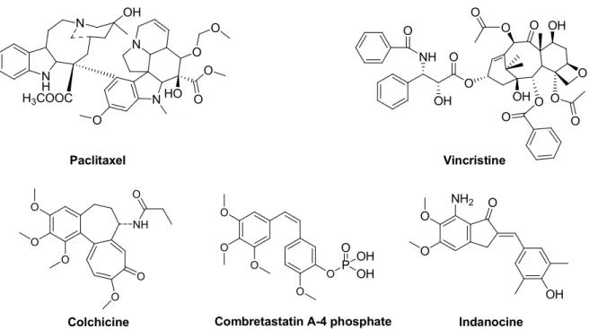 Figure 1 Molecular structure of paclitaxel, vincristine, colchicine, combretastatin A-4 and  indanocine
