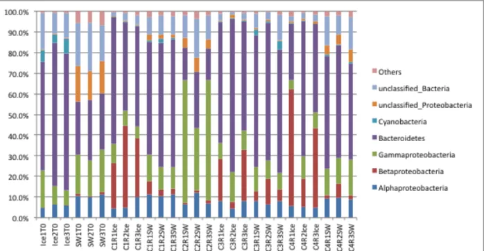 Figure 5. Metagenomic analysis of the microbial community phylogeny in triplicate mesocosm  samples and after 14 days incubation at -1°C in comparison to the starting seawater (SW) and sea  ice (Ice)
