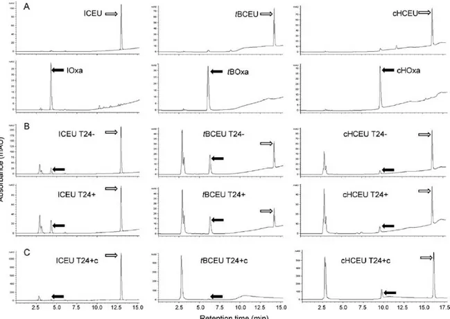 Fig.  3.  Quantitative  HPLC  analysis  of  ICEU,  tBCEU  or  cHCEU  in  B16F0  cells