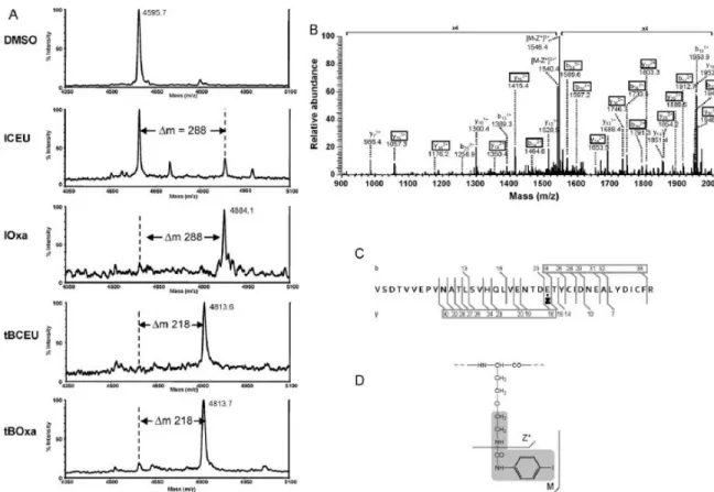 Fig.  1.  -Tubulin  alkylation  by  CEUs  and  their  corresponding  Oxas.  (A)  Comparative  analyses  by  MALDI-TOF-MS  of  tubulin  high  mass  peptides  obtained  in  tubulin  tryptic  digest after DMSO treatment of cells or after ICEU, IOxa, tBCEU or