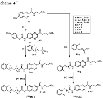 Table 1. In Vitro Binding to Melanin and log P of [ 125 I]1a − g