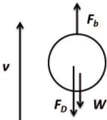 Fig. 5: Free body diagram of a single bubble in molten Sn. 