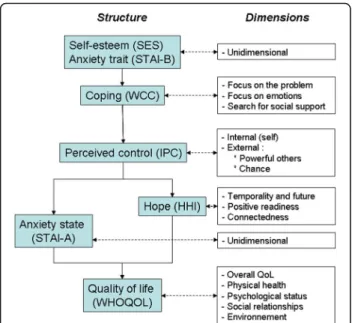 Fig. 1 Construct of the psychological model enabling the evaluation of the study endpoints