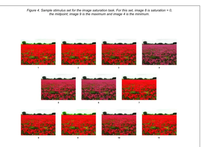 Figure 4. Sample stimulus set for the image saturation task. For this set, image 8 is saturation = 0,  the midpoint; image 9 is the maximum and image 4 is the minimum.