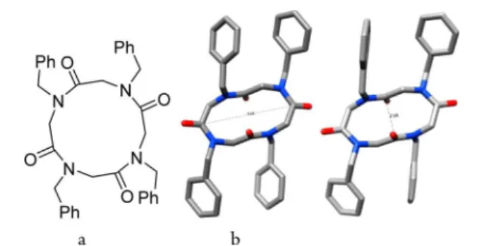 Figure 2. X-ray structure of 5: (a) structure of 5; (b) view of polymorph crystal structures showing the ctct amide geometry and phenyl ring rotation (H atoms omitted for clarity).