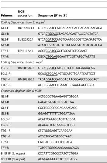 Table 1. Primers used to isolate/analyze GL1, GL2, GL3, TTG1 and TRY genes from B. villosa.