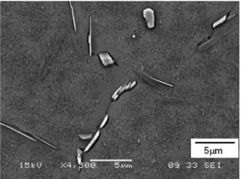 Fig. 15. Transition from base alloy to TMAZ microstructure in post- post-weld heat-treated alloy.