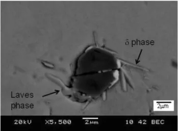 Fig. 18. Ti-carbonitride particles with d phase and Laves phase in the postweld heat-treated condition.