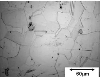 Fig. 1. Light optical image of the microstructure of as-received 718 Plus showing randomly distributed second-phase particles.