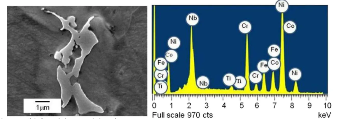 Fig. 10. LFM and precipitates on the grain boundaries in the as- as-welded TMAZ microstructure.