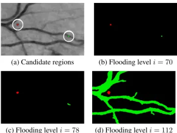 Fig. 1 illustrates three flooding steps with two candidates taken from a single image