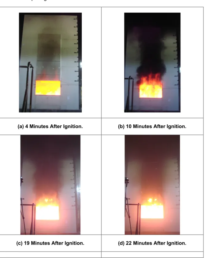 Figure 11. Wall assembly during the fire exposure.