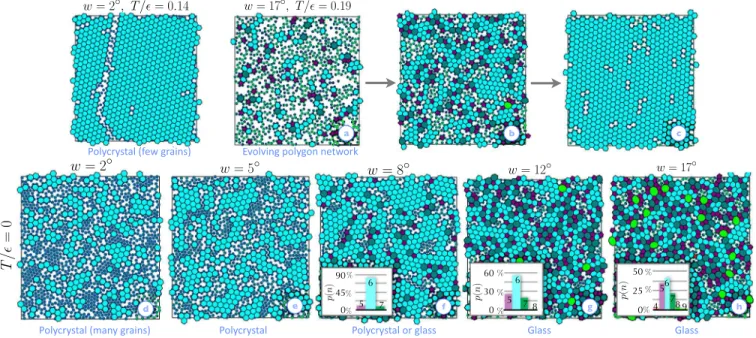 FIG. 4. Snapshots of self-assembled model networks: Compare the behavior of real systems in Fig