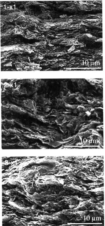 Figure  2-4:  ESEM  images  (Secondary  Electron)  of  GeoGenome  Shale  1,  Shale  2,  and  Shale 3,  taken  parallel  to the  bedding  direction  (xl-direction)