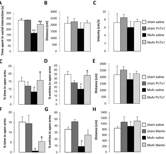 Figure 2. (A) Effect of PcTx1 bilateral microinjection (0.05  μ  g/rat/side, respectively, 15 min before the test)  within the BLA of sham and MoAr rats on the time spent in social interactions