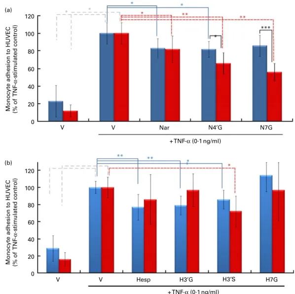 Fig. 3. Impact of pre-exposure of both endothelial cells and monocytes to flavanones on cell adhesion