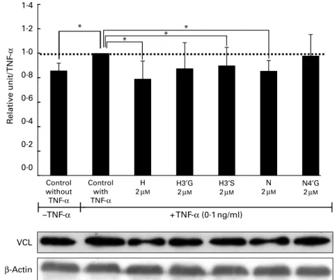 Fig. 5. Effect of flavanones and their metabolites on vinculin (VCL) protein expression in human umbilical vein endothelial cells (HUVEC)