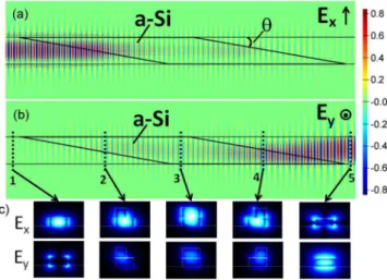 Fig. 2. Electric field components (a) E x and (b) E y evolution along the polarization rotator (top view), as calculated by a 3D-FDTD method