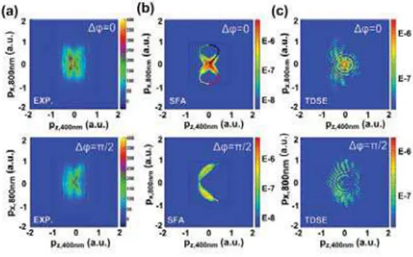 Figure 1. (a) Measured electron momentum distribu- distribu-tions from single ionization of neon atoms in the  la-ser polarization plane