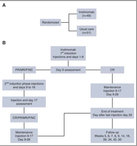 Figure 1. Study design. (A) All patients in the control arm received rabbit ATG (Genzyme, a Sanofi company) at the same dose of 2.5 mg/kg for 4 consecutive days.
