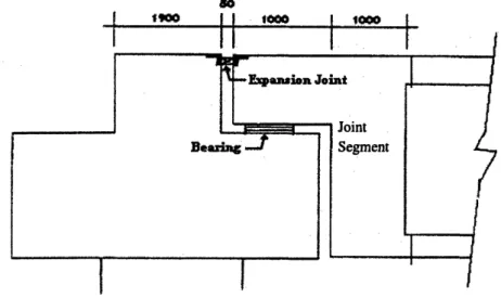 Figure 4.1: Elevation  of column  with pier cap.
