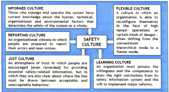 Figure 5:  Components  of a  System  Culture