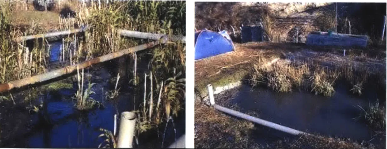Figure 5.6:  Ponding  Effects  on the Vertical Flow  Bed  (Left)  and Horizontal Flow  Bed (Right) at Dhulikhel Hospital  Due to Sludge  Accumulation.