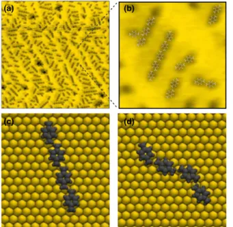FIG. 1 (color online). Straight chain and branched chain BDA nanostructures are seen in STM images at 5 K.