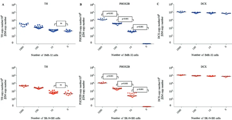 Figure 3. Relative expression of (A) TH, (B) PHOX2B and (C) DCX in thawed testicular tissues following contamination by neuroblastoma cell lines (0, 10, 100  and 1,000 cells)