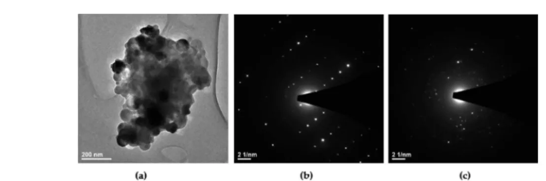 Fig. 4 (a) TEM and (b, c) SAED images of the Ca 10 (PO 4 ) 6 F 2 /Ca 3 (PO 4 ) 2 biphasic calcium phosphate doped with 1 mol% Er 3+ and 5 mol% Yb 3+