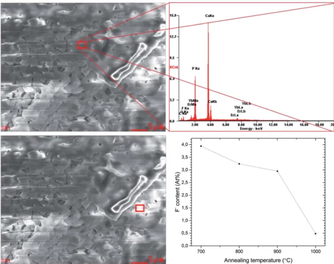 Fig. 5 EDX scans and spectrum of Ca 10 (PO 4 ) 6 F 2 /Ca 3 (PO 4 ) 2 biphasic calcium phosphate co-doped with 1 mol% Er 3+ and 5 mol% Yb 3+ annealed at 1000  C, measured at di ﬀ erent powder locations and ﬂ uoride ion content vs