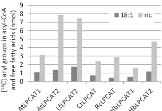 FIGURE 12. Quantification of radioactive products of the reverse reac- reac-tions of various LPCATs using with an equimolar mixture of sn  -1–16:0-sn -2-[ 14 C]18:1-PC and sn -1–16:0- sn -2-[ 14 C]ricinoleoyl-PC as substrates.