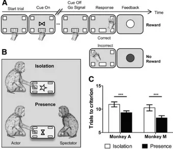 Fig. 1. Task design and behavior. (A) The successive grey frames represent the touch screen, as it appeared to the monkey, from the beginning (left) to the end of the trial