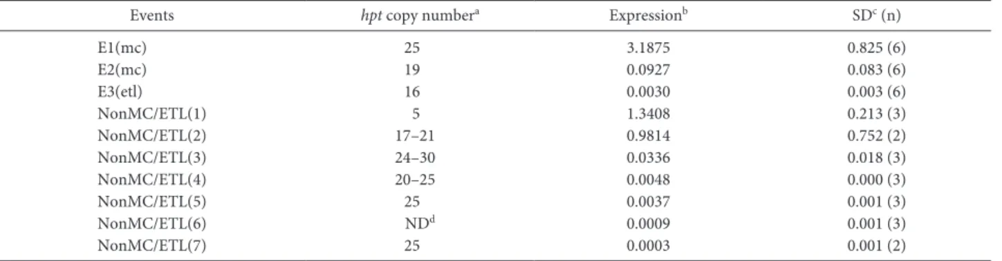 Table 2.  Hpt gene expression in T2 seedlings of MC/ETL and non-MC/ETL events