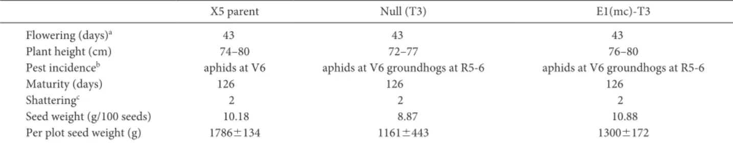 Table  4.  Agronomic data for 2009 ield trial of E1(mc)-T3 plants. he agronomic data is shown for E1(mc), parental wild type X5 and null lines  grown in small plot randomized trials.
