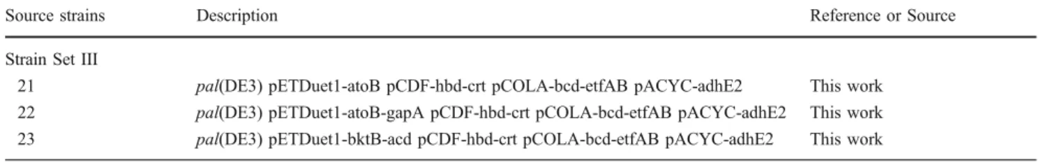Table 2 Intracellular pool sizes in pmol/(A600·mL of free coenzyme A, acyl-CoAs, and adenosine phosphates in E