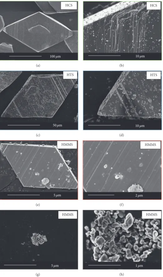 Figure 2: FEG-SEM micrographs of calcium zincate large crystals synthesized by the HCS method ((a), (b), green), HTS particles ((c), (d), blue), micronic HMMS ((e), (f), red), and Submicronic HMMS ((g), (h), black).