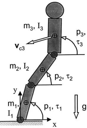 Figure 2.3:  Three segment  planar model used to  simulate  human locomotion.