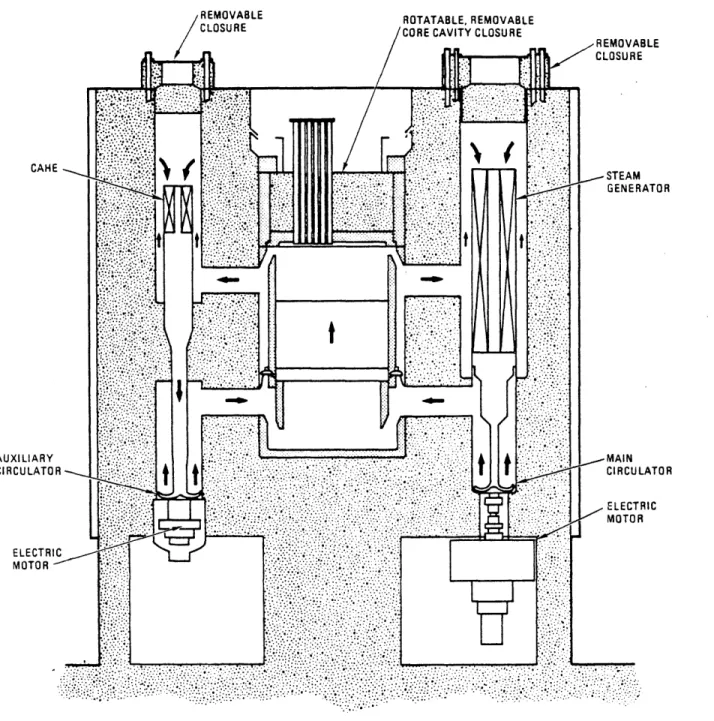 Fig.  3.1  Basic  GCFR upflow  core  configuration  (M13)